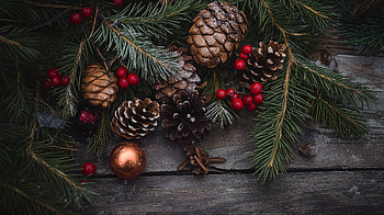 Rustic Holiday Charm – Ultra, rustic holiday, Christmas, pinecones, holiday decorations, berry HD wallpaper