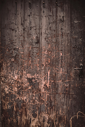 Wood, Wooden, Texture, Textures, Surface, Scratches, Door HD phone wallpaper
