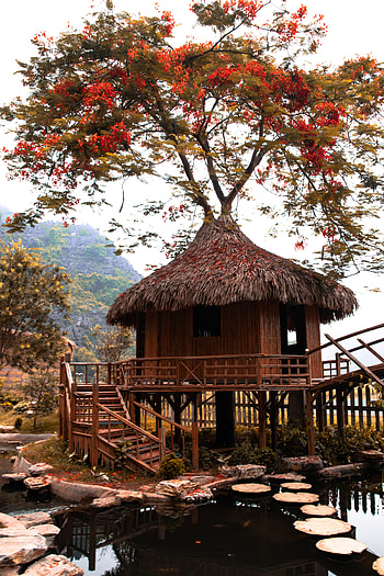 Nature, Architecture, Lake, Hut, Bungalow HD phone wallpaper