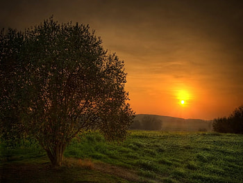 Sunset, nature HD wallpaper