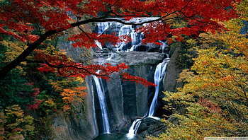 waterfall in autumn, trees, autumn, waterfall, cliff HD wallpaper
