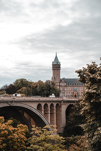 Cities, Trees, Architecture, City, Bridge, Tower HD phone wallpaper
