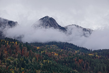 Landscape, Nature, Clouds, Mountain, Forest HD wallpaper
