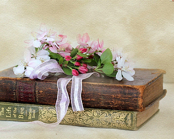 lovely still life, books, still life, flowers, lovely HD wallpaper