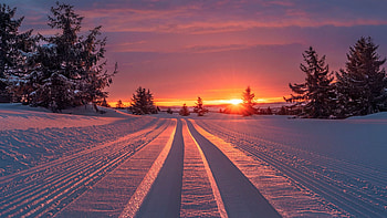 Winter in Norway, snow, colors, clouds, landscape, trees, road, sky, sunset, scandinavia HD wallpaper