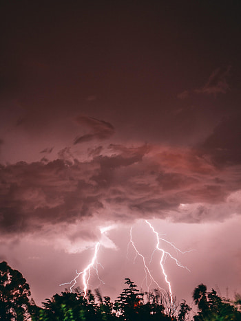 Nature, Trees, Pink, Lightning, Storm, Thunderstorm HD phone wallpaper