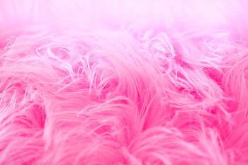 Detailed close-up of a vibrant pink fluffy texture, perfect for backgrounds and creative designs. HD wallpaper