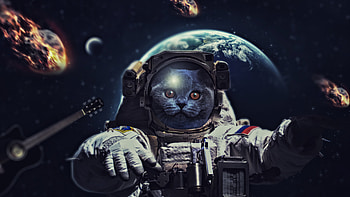Cat In Space , cat, artist, artwork, digital-art, artstation HD wallpaper