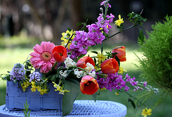 Flowers, Tulips, Gerberas, Basket, Composition, Gillyflower, Levkoy HD wallpaper