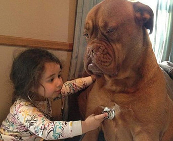 BREATH IN, LITTLE, GIRL, FUNNY, DOG HD wallpaper