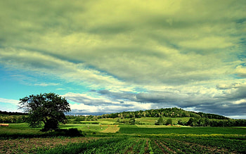 field, cool, nature, fun HD wallpaper