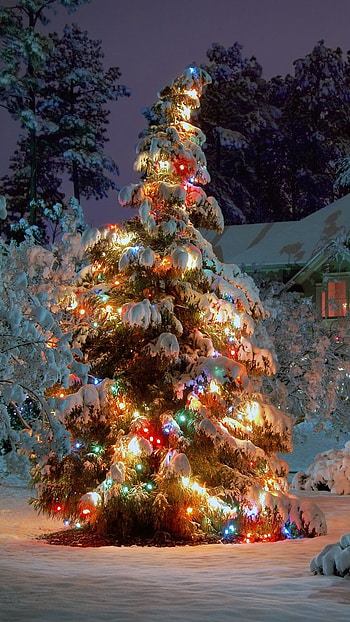 Happy New Year, Christmas, Tree HD phone wallpaper
