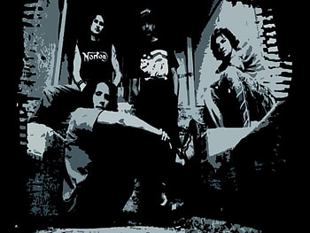 The Band, tom, zack, tim, brad HD wallpaper