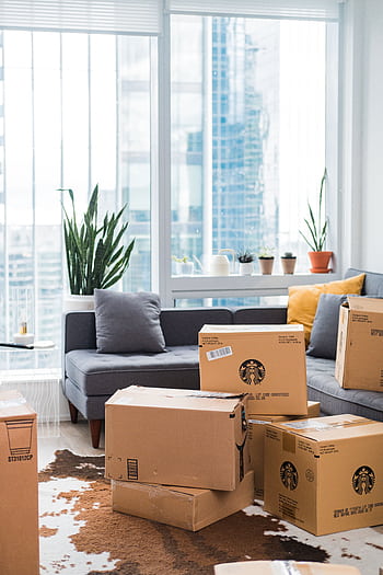 Bright city apartment interior with boxes shows moving day setup. HD phone wallpaper