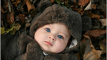 Blue Eyes Cute Baby Boy Is Lying Down On Dry Leaves Wearing Brown Fur Cloth Cute HD wallpaper
