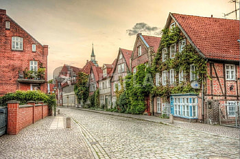 Beautiful street., path, house, street, sky, road, cloud, tree HD wallpaper