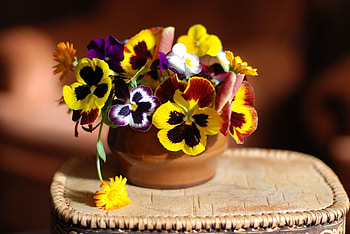 Plants, Holidays, Flowers, Bouquets HD wallpaper