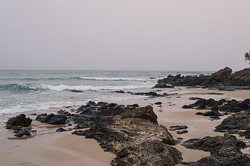 Nature, Birds, Seagulls, Waves, Beach, Rocks HD wallpaper