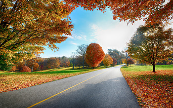 Highway , Ethan Tremblay HD wallpaper