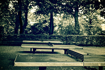 Tables, Table Tennis HD wallpaper