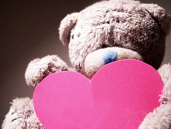 Love, Bear, Heart HD wallpaper