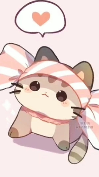 Cute Cat <3, Kitty, hehe HD phone wallpaper