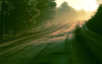 Road, nature, sand, path HD wallpaper