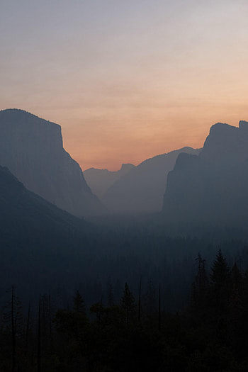 Nature, Sunset, Vertex, Forest, Fog, Hills, Tops HD phone wallpaper