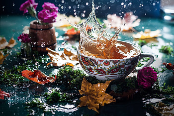 :), splash, tea, autumn, leaf, toamna, water, cup HD wallpaper