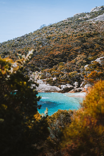 Nature, Stones, Sea, Bush, Shore, Bank, Hill HD phone wallpaper
