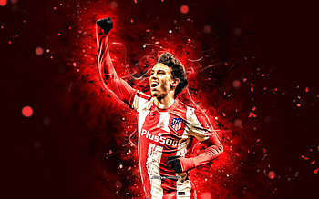 João Félix, felix, atleticomadrid, soccer, joao, joaofelix, atletico, atleti, portuguese, football, sport HD wallpaper
