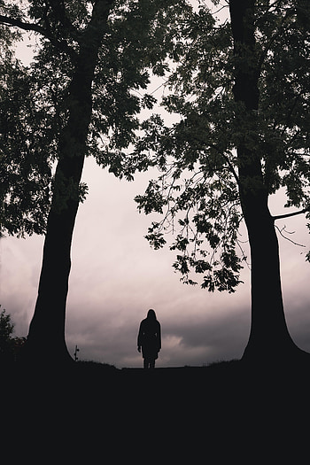 Trees, Dark, Silhouette, Miscellanea, Miscellaneous, Loneliness HD phone wallpaper