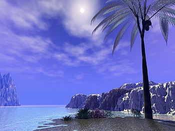 Port of Call, palmier, water, call HD wallpaper