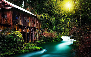 Cedar Creek Grist Mill, Washington, sunrise, river, morning, trees, watermill, forest, usa HD wallpaper