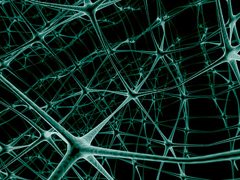 Abstract, Grid, Compound, Connection, Communication, Neuron HD wallpaper