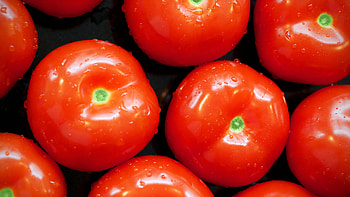Tomato, , Background HD wallpaper