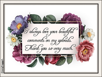THANK YOU, YOU, COMMENT, THANK, CARD HD wallpaper