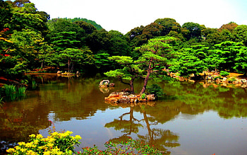 JAPANESE PARK, japan, trees, kyoto, water, lake, park, pond HD wallpaper