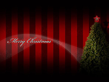 xmas tree and stripes, winter, fun, religious, holiday, presents, christmas, happy, joy, santa HD wallpaper
