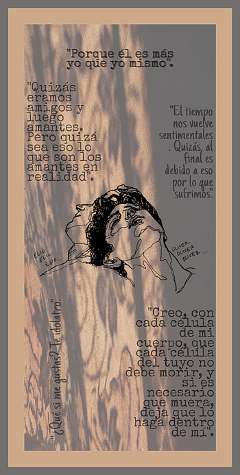 Llámame por tu nombre, love, durazno, libro, romance, amor, elio, pelicula, oliver, JhonFreddy, gay HD phone wallpaper