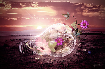 Idea Of Life, light bulb, sky, flowers, sunset, beach HD wallpaper
