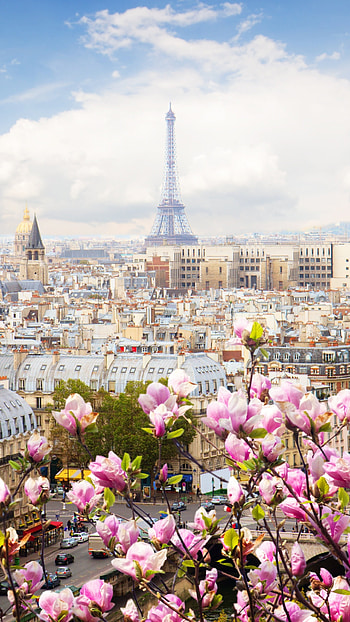 Paris Skyline, Travels, Eiffel Tower, Beautiful Flowers HD phone wallpaper