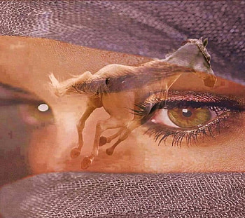 The Dream, horse, fantasy, animals, eyes, girl, collage HD wallpaper