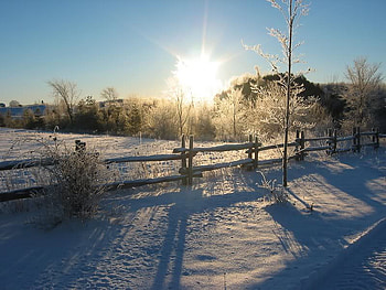 Early Morning Sun, sky, sun, snow, fence HD wallpaper