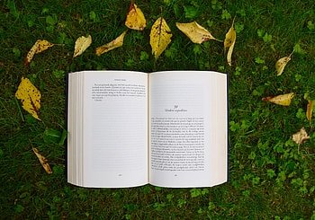 : Open Book Amid Autumn Leaves – Man-Made Stories in Nature, man made, book HD wallpaper