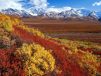 Landscape, Mountains HD wallpaper