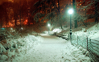 Winter, Nature, Shine, Light, Park, Lamp, Lantern, Drifts, January HD wallpaper