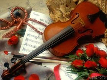 violin, rose, nice, red HD wallpaper