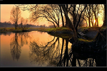 Morning Reflection, reflection, morning, sky, nature, lake HD wallpaper