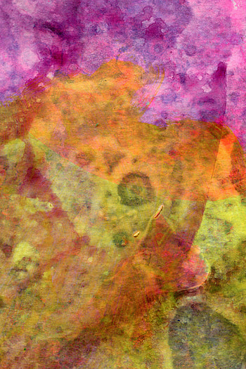 Abstract, Divorces, Multicolored, Motley, Wet, Paint, Stains, Spots, Paper HD phone wallpaper